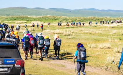 Navigating Logistics: The "Last Mile" Challenge