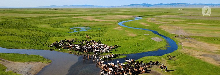 Why You Need a Local DMC Partner in 2026