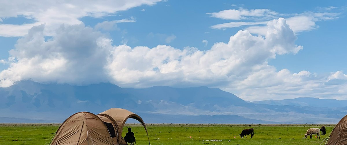 Camping & Glamping Experiences